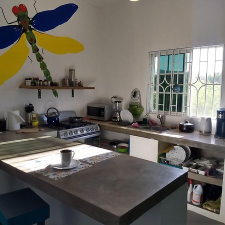 Hotel Dragonfly Treasure Beach Esterno foto