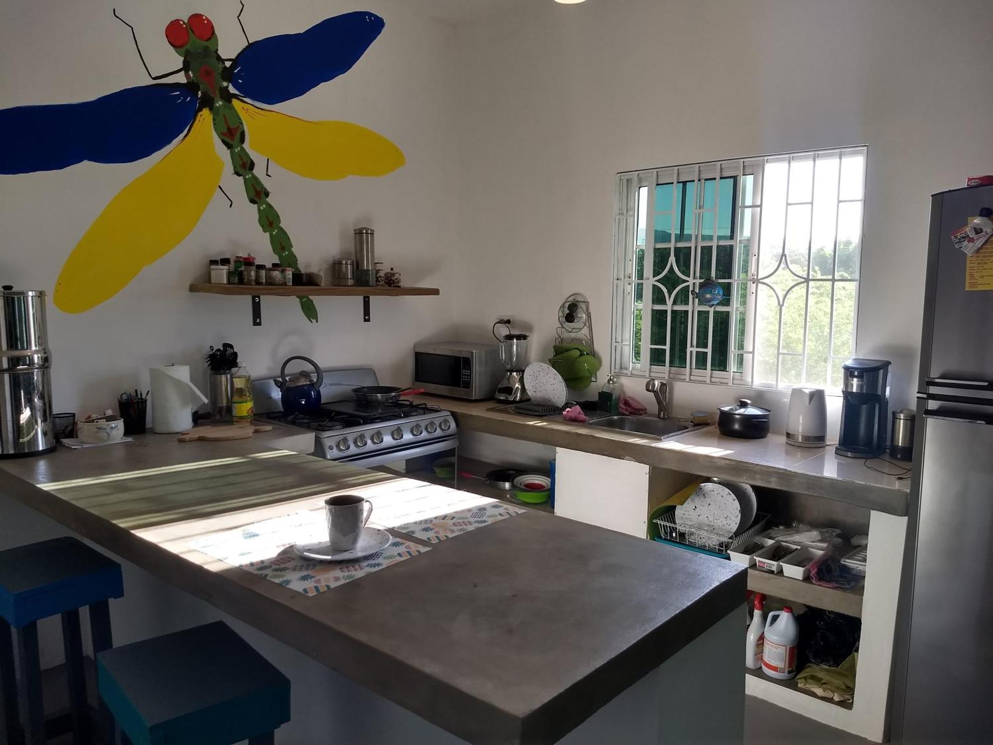 Hotel Dragonfly Treasure Beach Esterno foto
